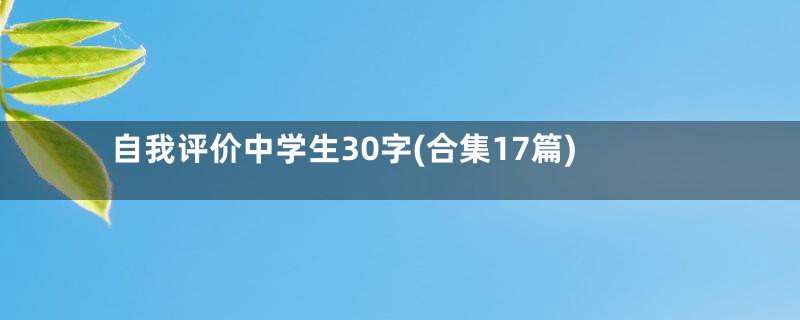 自我评价中学生30字(合集17篇)