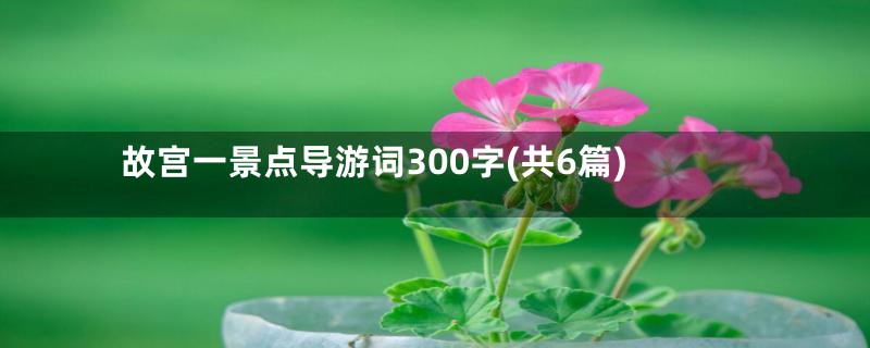 故宫一景点导游词300字(共6篇)