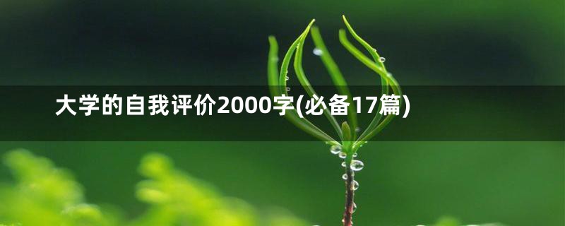 大学的自我评价2000字(必备17篇)