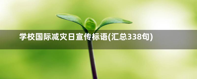 学校国际减灾日宣传标语(汇总338句)