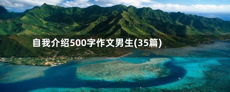 自我介绍500字作文男生(35篇)