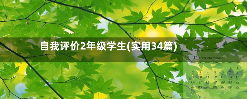 自我评价2年级学生(实用34篇)