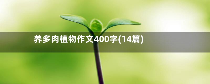 养多肉植物作文400字(14篇)