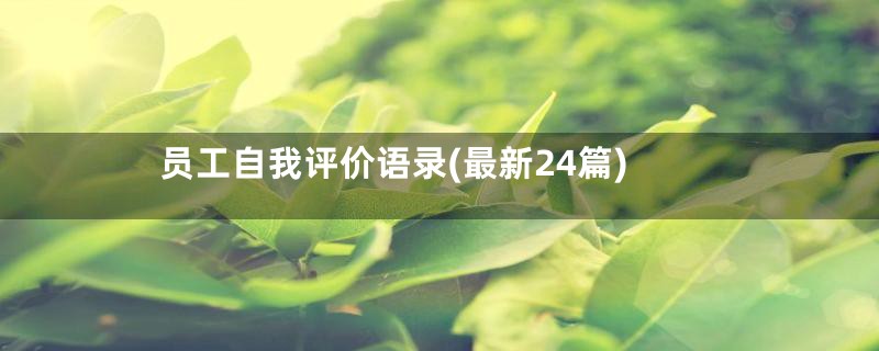 员工自我评价语录(最新24篇)