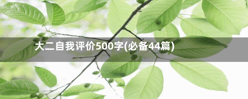 大二自我评价500字(必备44篇)