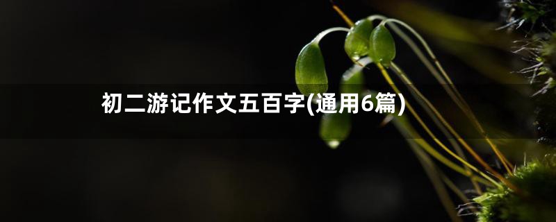 初二游记作文五百字(通用6篇)