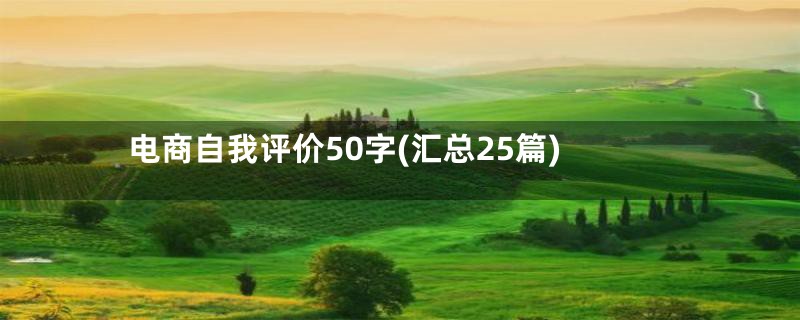 电商自我评价50字(汇总25篇)