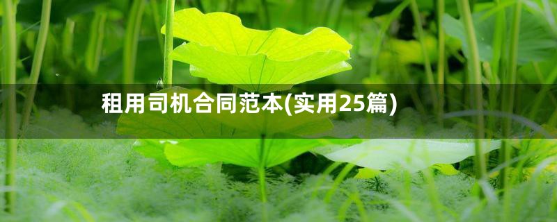 租用司机合同范本(实用25篇)