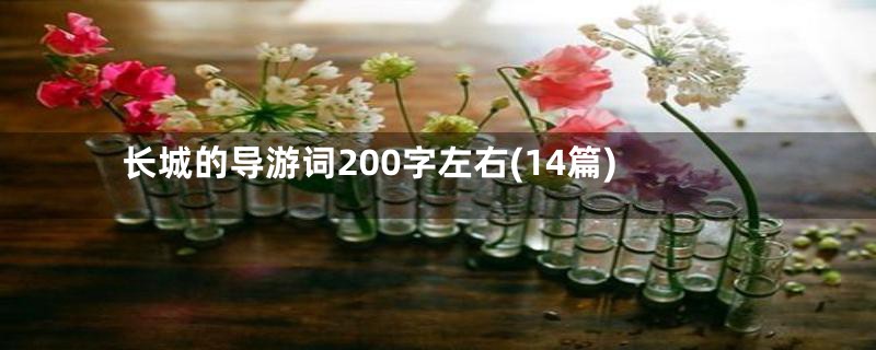 长城的导游词200字左右(14篇)