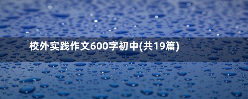 校外实践作文600字初中(共19篇)