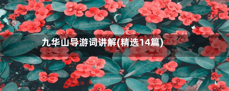 九华山导游词讲解(精选14篇)