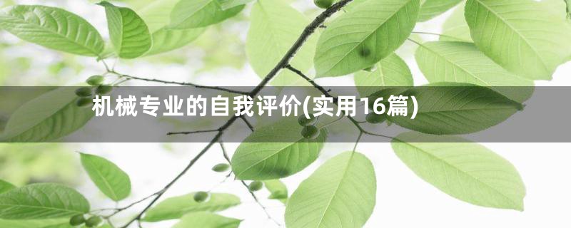 机械专业的自我评价(实用16篇)