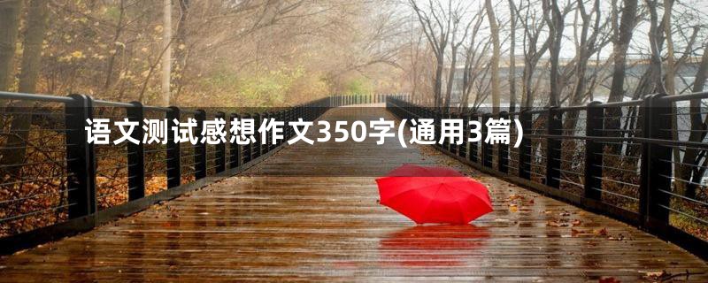 语文测试感想作文350字(通用3篇)