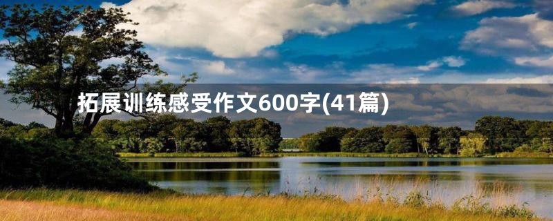 拓展训练感受作文600字(41篇)