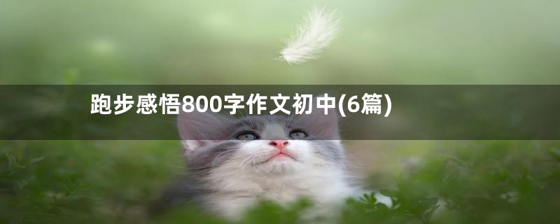 跑步感悟800字作文初中(6篇)