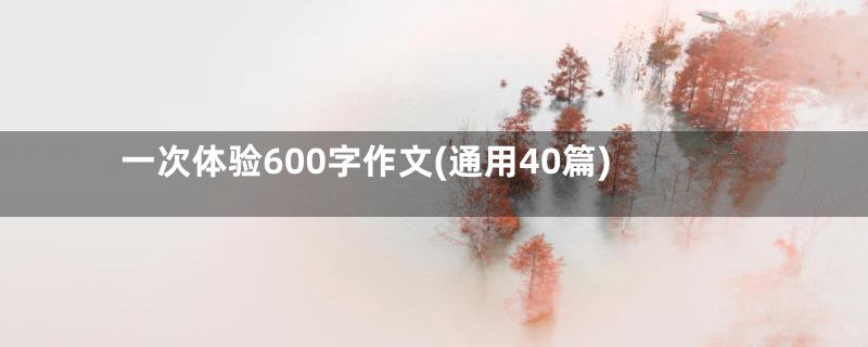 一次体验600字作文(通用40篇)