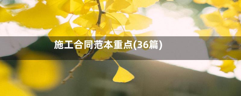 施工合同范本重点(36篇)