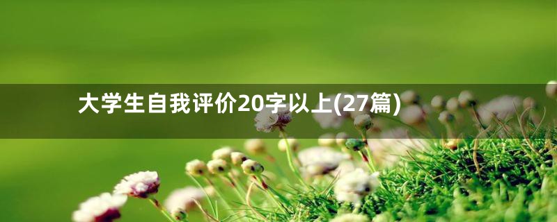 大学生自我评价20字以上(27篇)