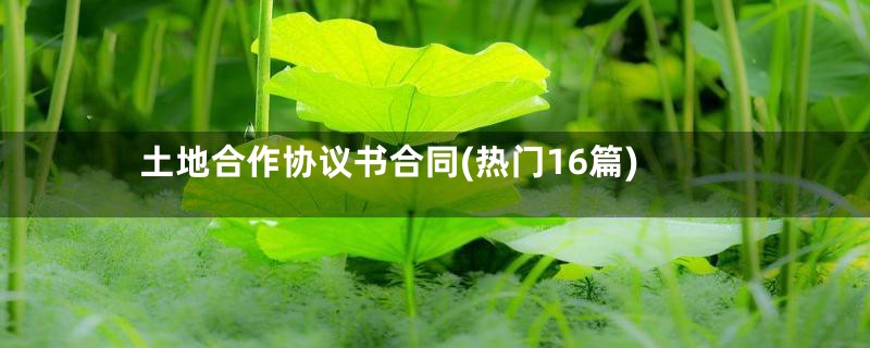 土地合作协议书合同(热门16篇)