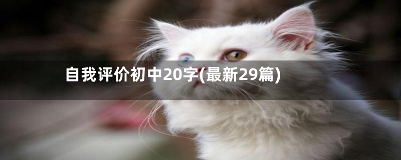 自我评价初中20字(最新29篇)