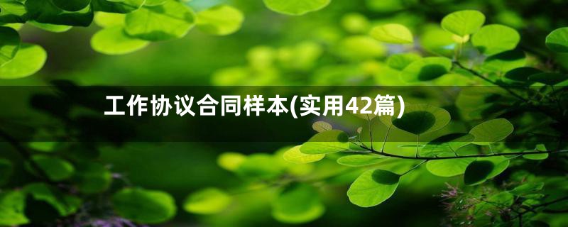 工作协议合同样本(实用42篇)