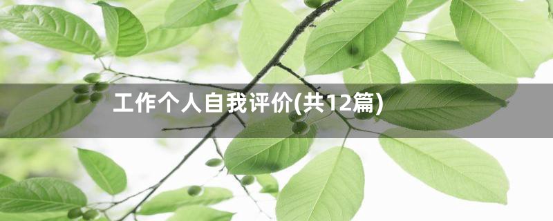 工作个人自我评价(共12篇)