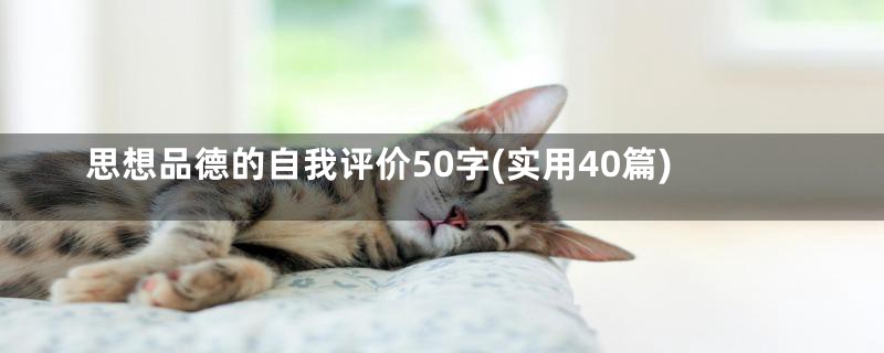 思想品德的自我评价50字(实用40篇)