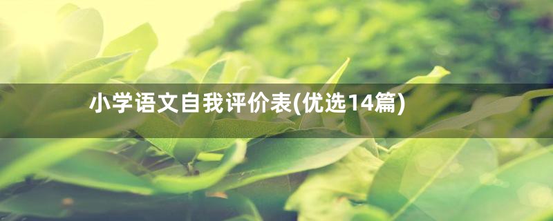 小学语文自我评价表(优选14篇)