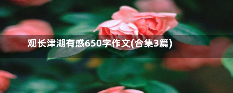 观长津湖有感650字作文(合集3篇)