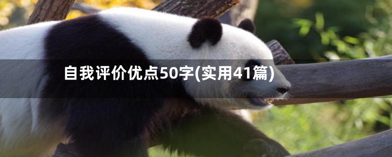 自我评价优点50字(实用41篇)