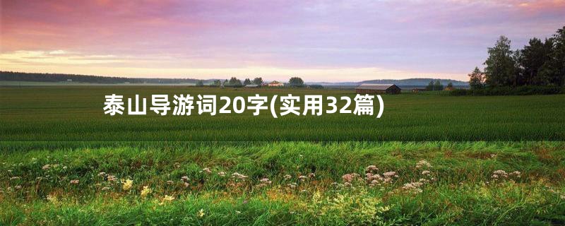 泰山导游词20字(实用32篇)