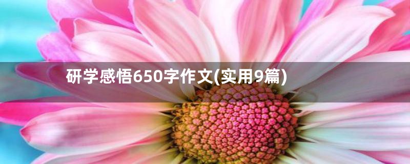 研学感悟650字作文(实用9篇)