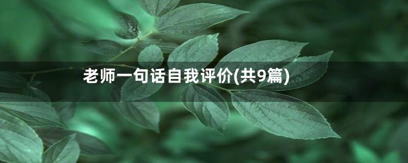 老师一句话自我评价(共9篇)