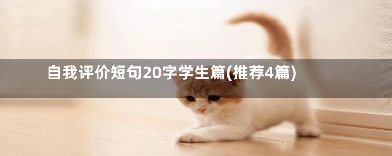 自我评价短句20字学生篇(推荐4篇)