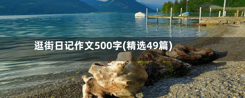 逛街日记作文500字(精选49篇)