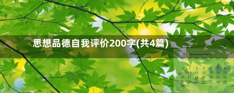 思想品德自我评价200字(共4篇)