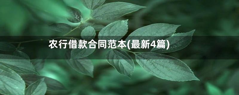 农行借款合同范本(最新4篇)