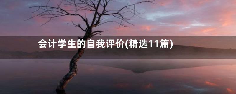 会计学生的自我评价(精选11篇)