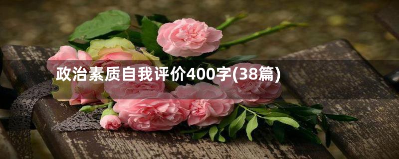 政治素质自我评价400字(38篇)