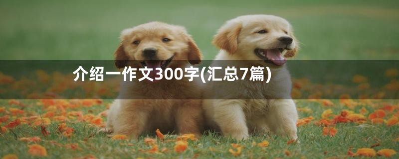 介绍一作文300字(汇总7篇)