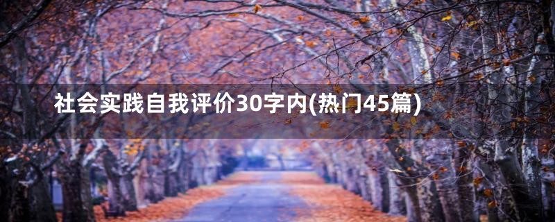 社会实践自我评价30字内(热门45篇)