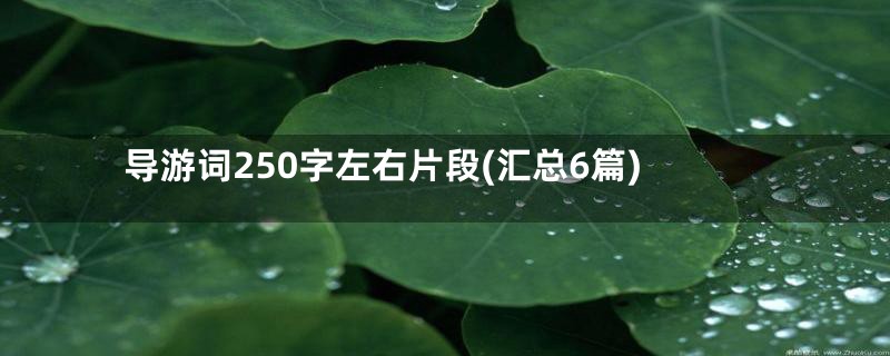 导游词250字左右片段(汇总6篇)