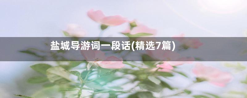 盐城导游词一段话(精选7篇)