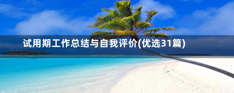 试用期工作总结与自我评价(优选31篇)