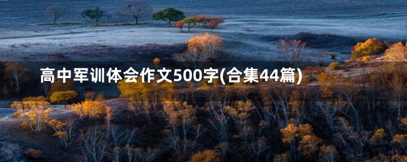 高中军训体会作文500字(合集44篇)