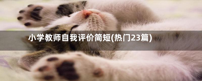 小学教师自我评价简短(热门23篇)