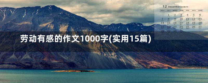 劳动有感的作文1000字(实用15篇)