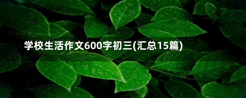 学校生活作文600字初三(汇总15篇)