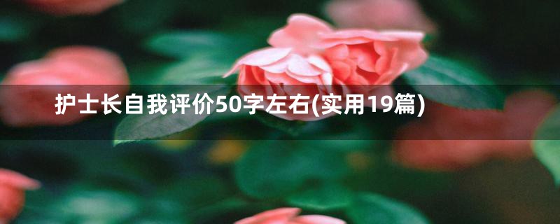 护士长自我评价50字左右(实用19篇)