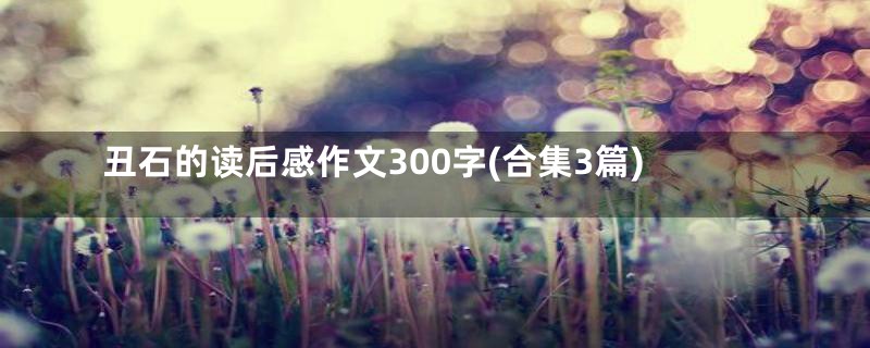 丑石的读后感作文300字(合集3篇)